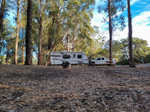 R-Vision Trail Sport travel trailer set between trees