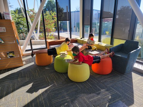 Reading at the library